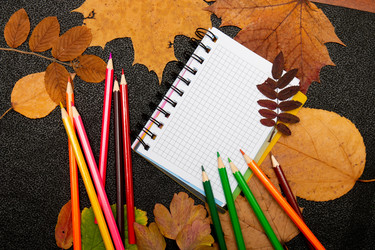 Similar image 21051545