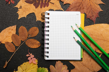 Similar image 21051547