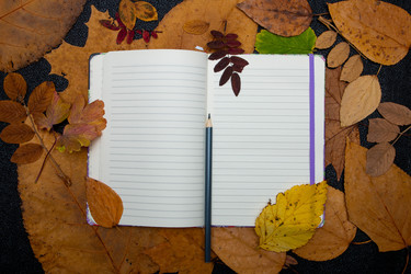 Similar image 21051549