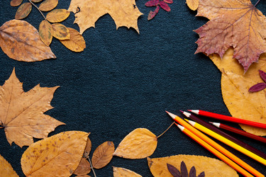 Similar image 21051556