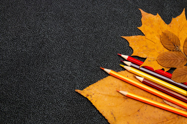 Similar image 21051557