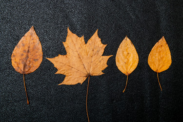 Similar image 21051559