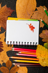 Similar image 21051566