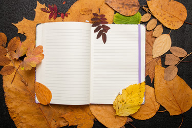 Similar image 21052285