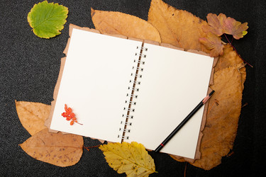 Similar image 21052288