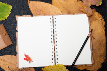 Similar image 21052289