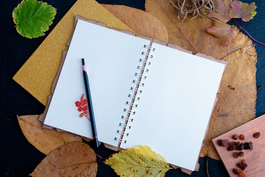 Similar image 21052290