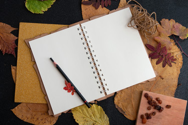 Similar image 21052291