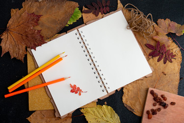 Similar image 21052292