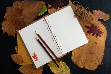 Similar image 21052293