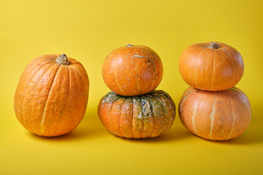 Similar image 21031407