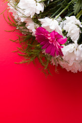 Similar image 21052863