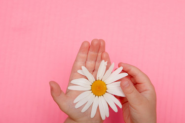 Similar image 21031424