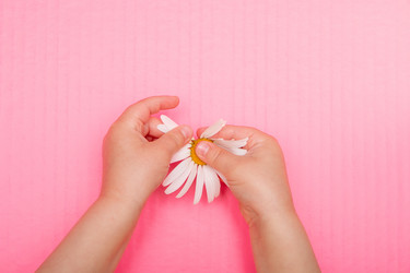 Similar image 21031496