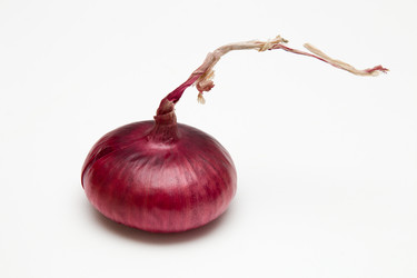 Similar image 21032229