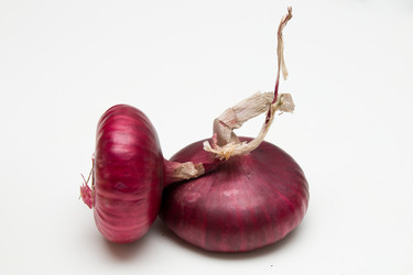 Similar image 21032251