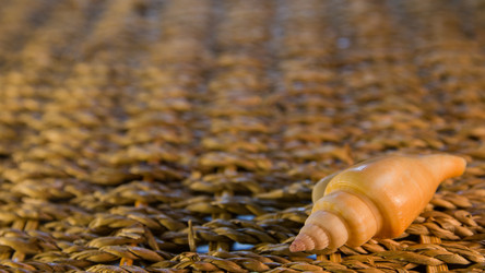 Similar image 21032450