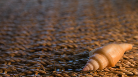 Similar image 21032451