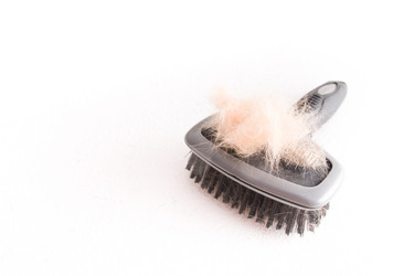 Similar image 21032454