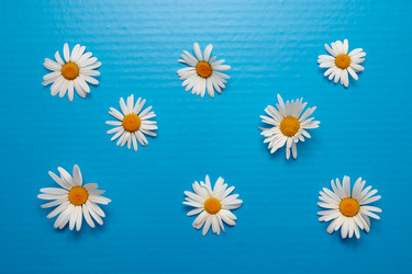 Similar image 21023508