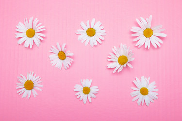 Similar image 21031277