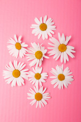 Similar image 21031278