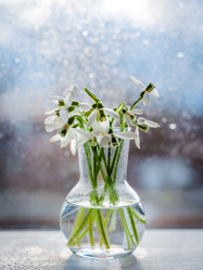 Similar image 21051431