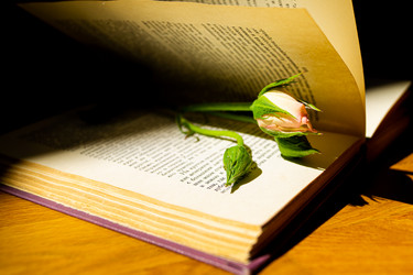 Similar image 21021637