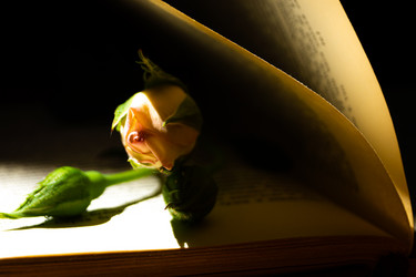 Similar image 21021638