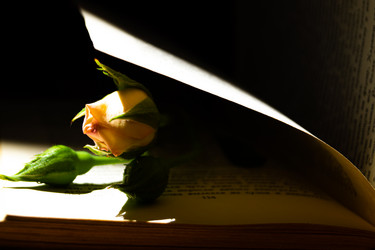 Similar image 21021640