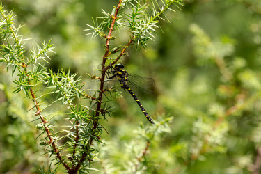 Similar image 21038243