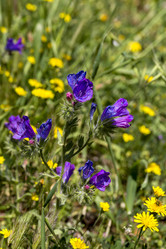 Similar image 21038245