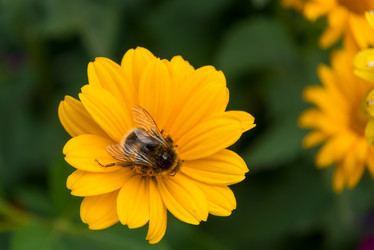 Similar image 21030824