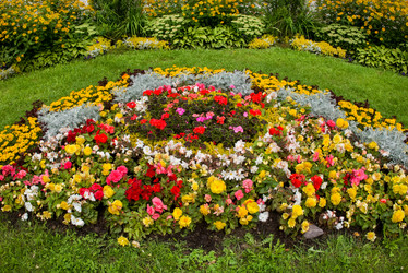 Similar image 21030828