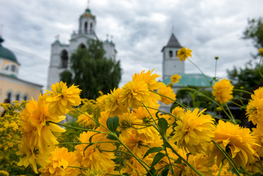 Similar image 21030831