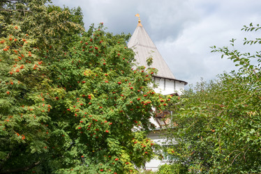 Similar image 21030617