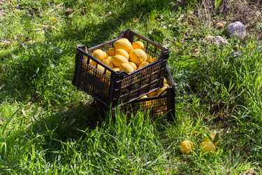 Similar image 21028630