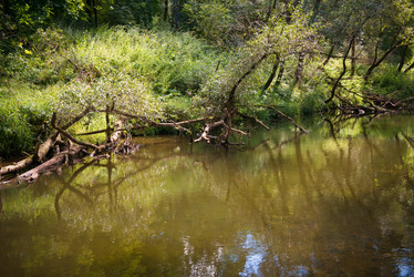 Similar image 21030449