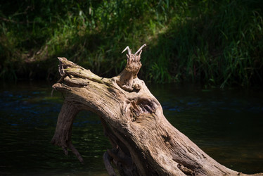 Similar image 21030451