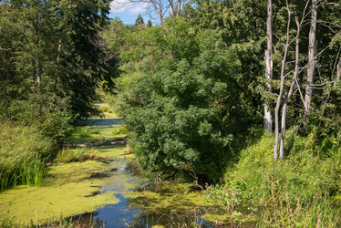 Similar image 21030462