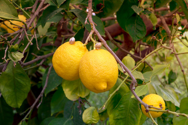 Similar image 21021127