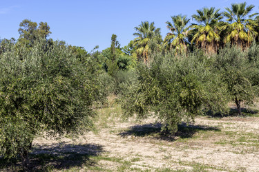 Similar image 21048059