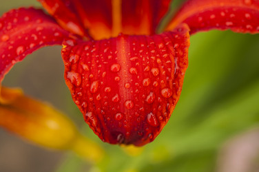 Similar image 21036927