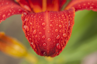 Similar image 21036928