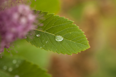 Similar image 21036929