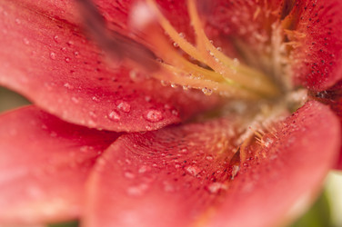 Similar image 21036931