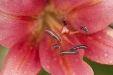 Similar image 21036932