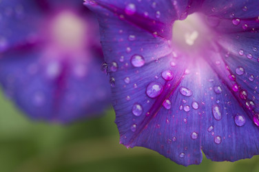 Similar image 21037027