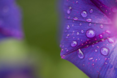 Similar image 21037028