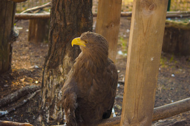 Similar image 21037030